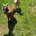 Nancy Sapp - Facebook