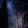 nancydsapp58065 - @nancydsapp58065 - TikTok