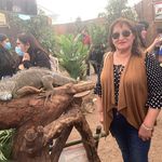 Nancy Saravia Perez - @nancysaraviaperez - Instagram