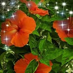 Nancy Flama Sarver - @sarver.nancy - Instagram