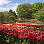 Nan Sasaki - Facebook