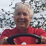 Nancy Sawyer - @nancy.sawyer.794 - Instagram
