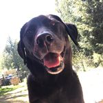 Nancy Sawyer Suhi - @nancysuhi - Instagram