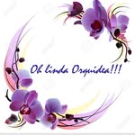 Nancy Scalone - @ohlinda_orquidea - Instagram