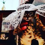 nunzia scarpato26 - @nancy.scarpato - Instagram