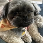 Nancy Schanz - Facebook