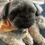 Nancy Schanz - @schanznancy - Instagram