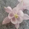 Nancy Scheckel - @nancyscheckel - TikTok