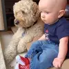 Nancy Scheideler Dem - @nancyscheidelerdembski82 - TikTok