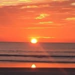 Nancy Scheiner - @nancyscheiner - Instagram