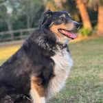Nancy Scheiner - @scheinernancy - Instagram