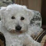 viviana nancy scheiner - @viviananancyscheiner - Instagram
