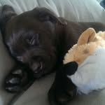 Nancy Schellekens - @nancy.schellekens.35 - Instagram