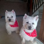 Nancy Drake Scheller - @nancy.scheller.33 - Instagram