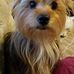 Nancy Drake Scheller - Facebook