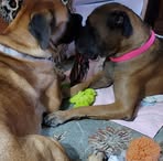 Nancy Scheltes - Facebook