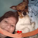 Nancy Schultheiss - Facebook