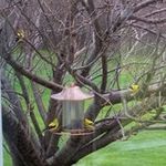 Nancy Schicker Smith - @the_great_nancy - Instagram