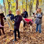 Nancy Schiffer - @rosalernancy - Instagram