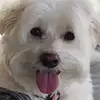 Nancy Schilling Thurnes - @me.and.them25 - TikTok
