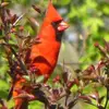 Nancy Bootsma Schipper - @nancy.bootsma.sch - TikTok