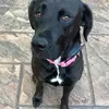 nancyschloemer - @nancyschloemer - TikTok