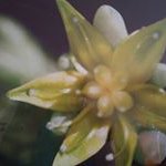 Nancy Schmalz - @ndschmalz61 - Instagram