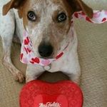 Nancy Schmalz - @schmalznancy - Instagram