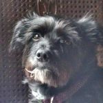 Nancy Schmoyer - @njspanda56 - Instagram