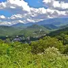 Nancy’s Holler - @nancysholler - TikTok