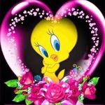 Nancy LaRocque Schoonmaker - @tweetybird12946 - Instagram