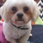 Nancy Schreck - @squiggy726 - Instagram