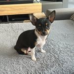 Nancy Schröder - @nancy91078 - Instagram