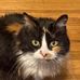 Nancy Schuessler - Facebook