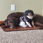 Nancy Schuessler - @nancy.schuessler - Instagram