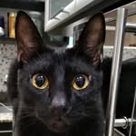 Nancy Schultz - @nancy.schultz.7737769 - Instagram