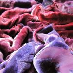 Nancy Schultz Textile Artist - @nancyschultzcolor - Instagram