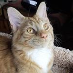 Nancy Schuman - @schumannj92 - Instagram