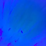Nancy Schuman - @schuman7680 - Instagram