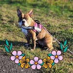 Nancy Schwager - @nancy.schwager - Instagram