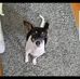 Nancy K. Schweder - Facebook