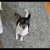 Nancy K. Schweder - @nancy.k..schweder - TikTok