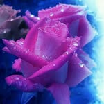 Nancy Schwindt - @schwindt.nancy - Instagram