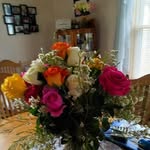Nancy Sell Schwindt - @nschwindt7 - Instagram