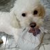 Nancy Scotto - Facebook