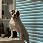 Nancy Seale - @ladysealenyc - Instagram