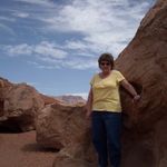 Nancy Seales - @nancyseales - Instagram