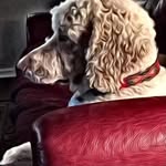 Nancy seals wilson - @nancysealwilson - Instagram
