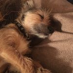 Nancy Sealy - @sealynancy - Instagram