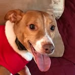 Nancy Secrest - Facebook